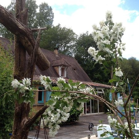 Maison D'Hotes Le Moulin Pointu Sainte-Nathalène Esterno foto